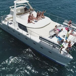 WHALE & DOLPHIN BOAT TRIPS